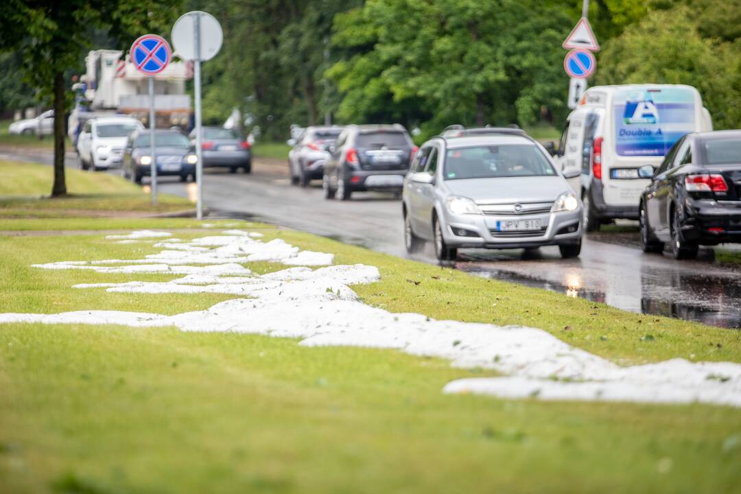 Liūtis ir kruša Kaune
