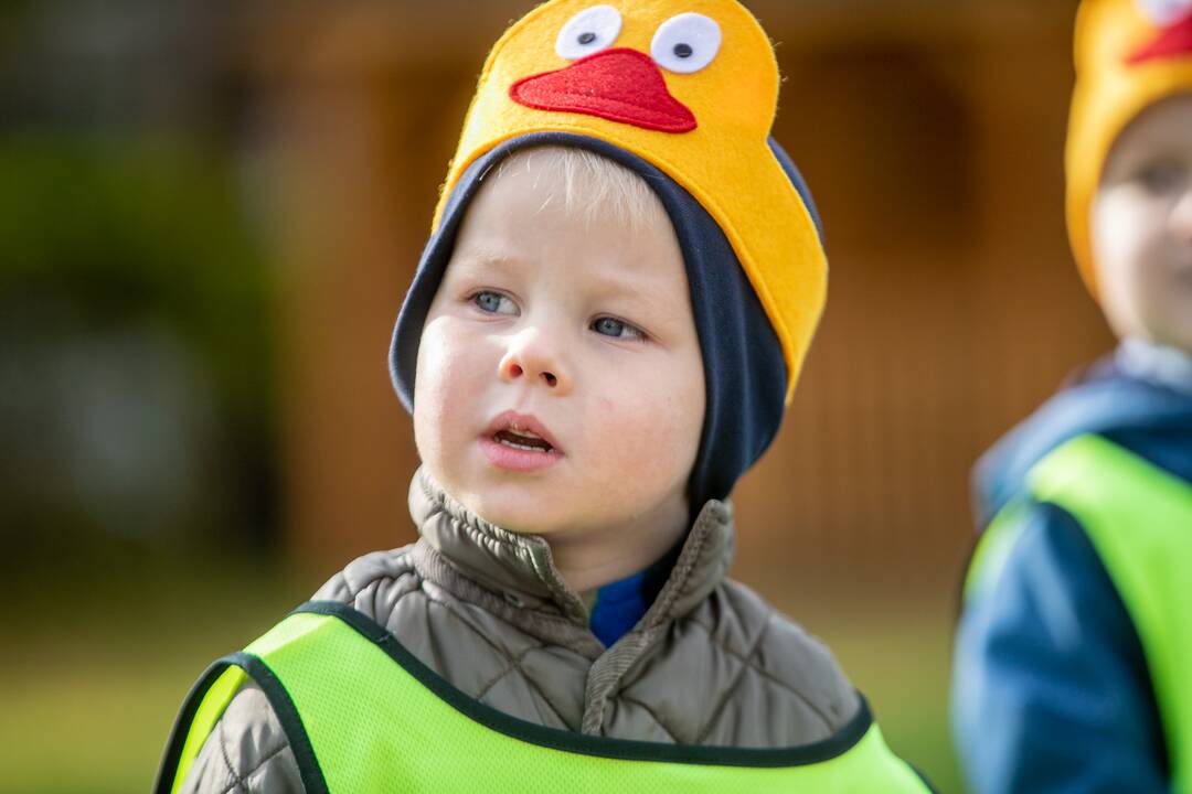Mokytojų dienos rekordas