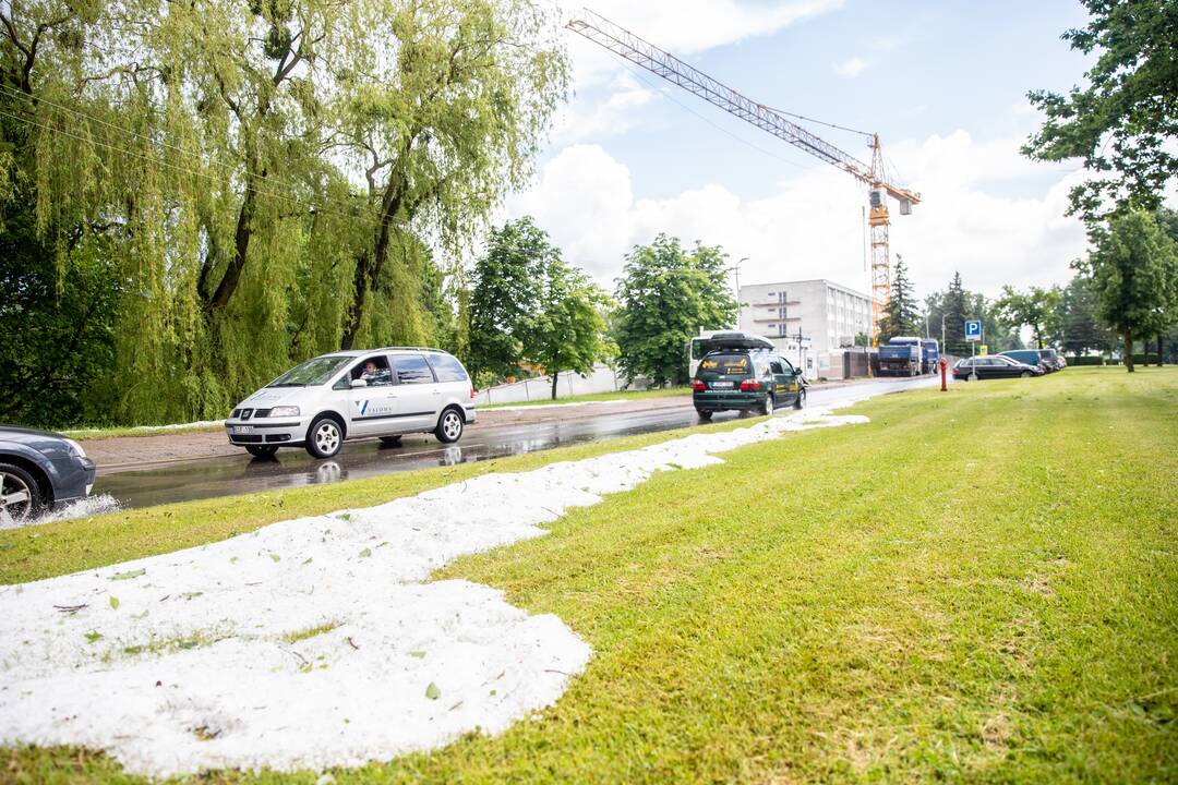 Liūtis ir kruša Kaune