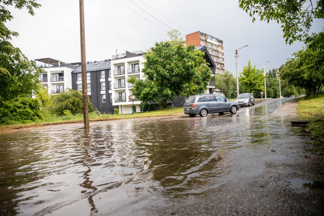 Liūtis ir kruša Kaune