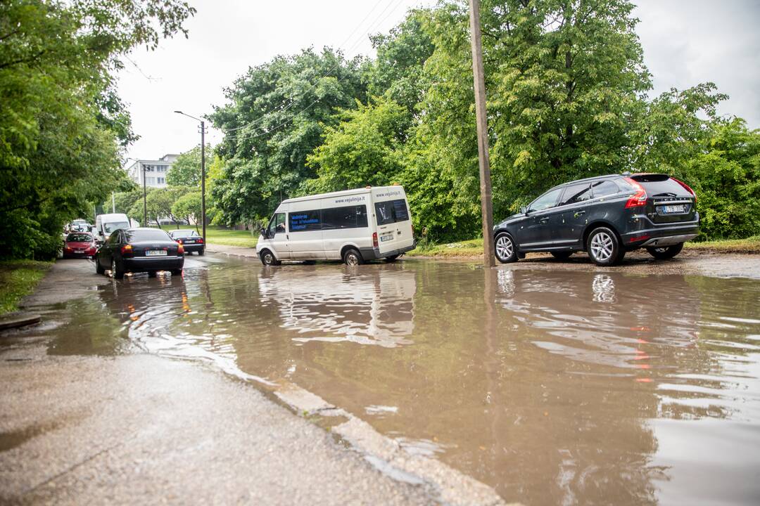 Liūtis ir kruša Kaune