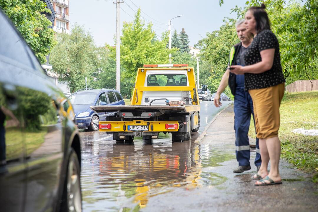 Liūtis ir kruša Kaune