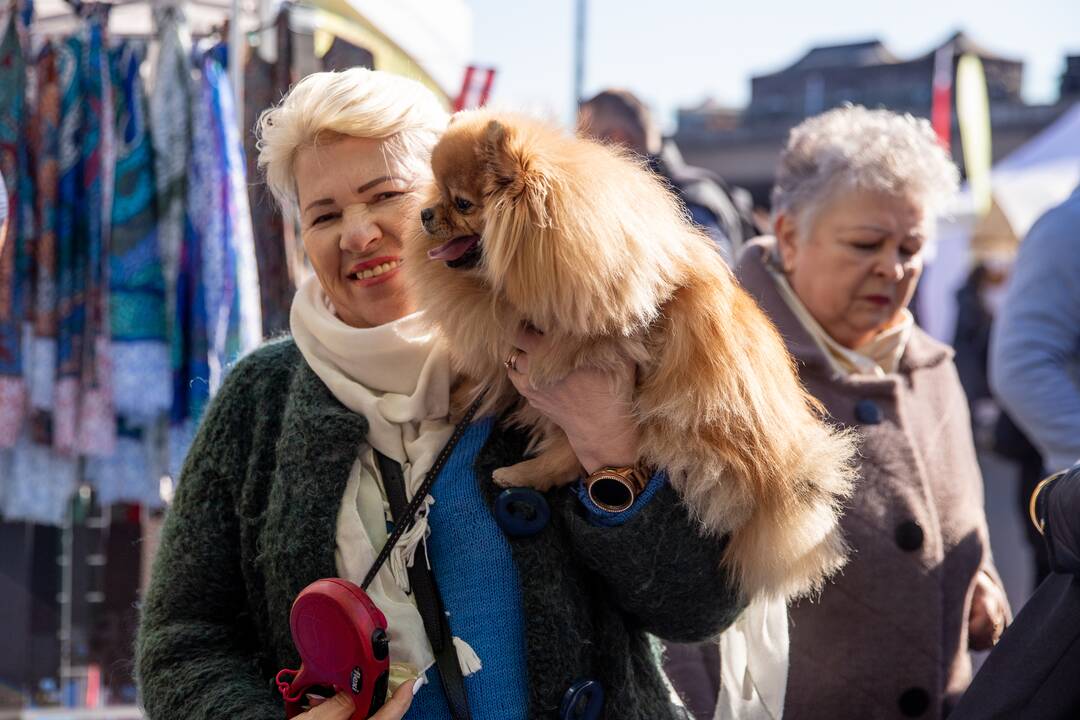 Kaziuko mugė Kaune 2022
