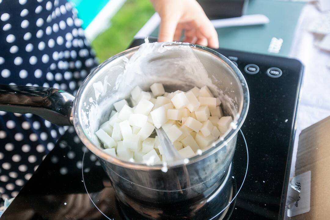 Šeimadienis prie Kauno pilies