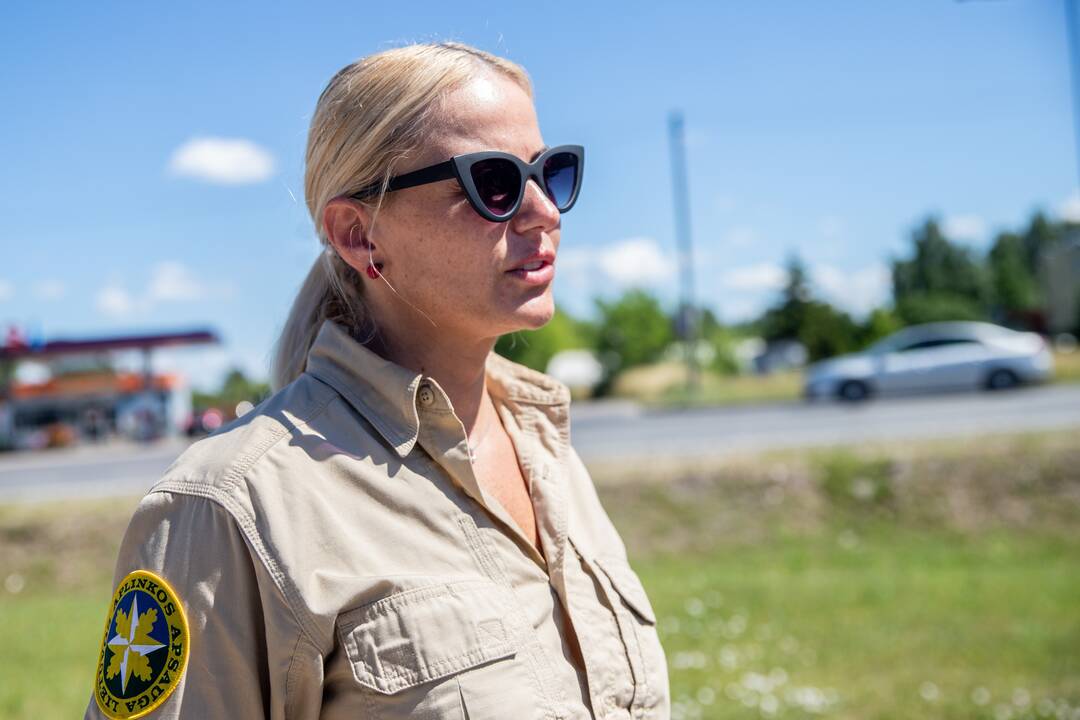 Aplinkosaugos taikiklyje – automobiliai