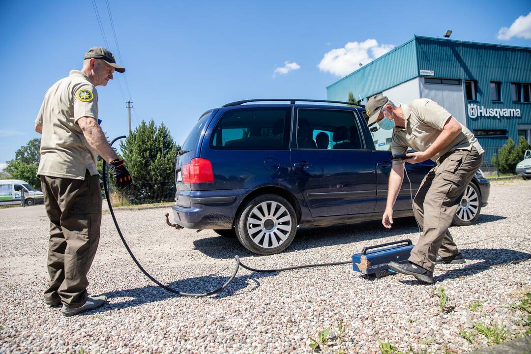 Aplinkosaugos taikiklyje – automobiliai