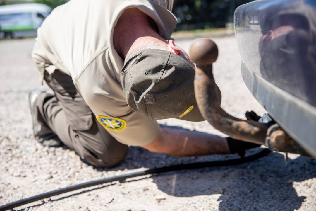 Aplinkosaugos taikiklyje – automobiliai