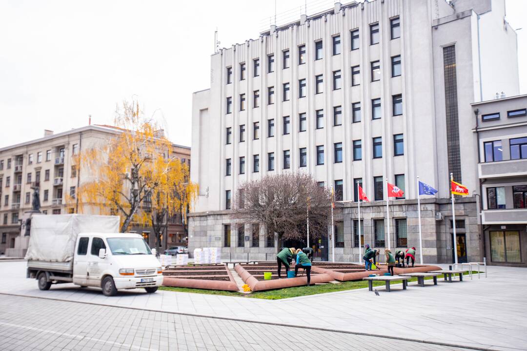 Gėlių klombas prie savivaldybės užpildys tūkstančiai svogūnėlių