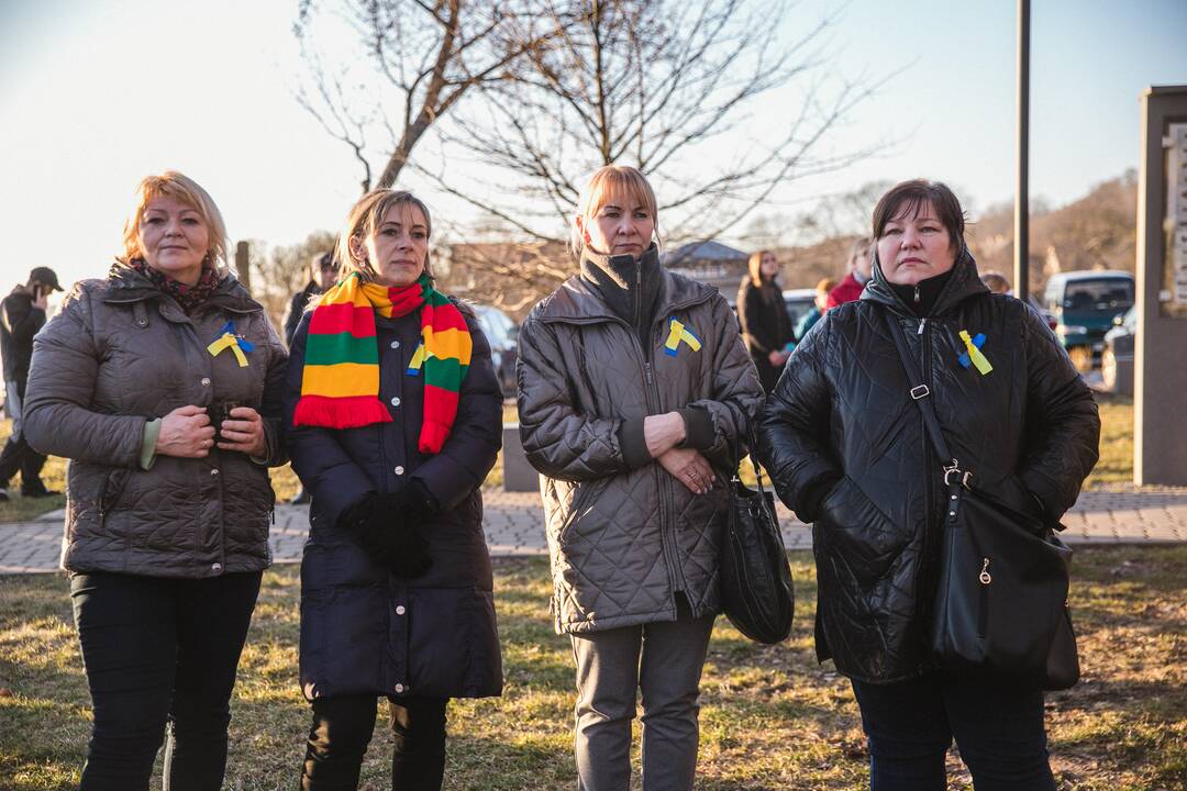 Vilkija su Ukraina