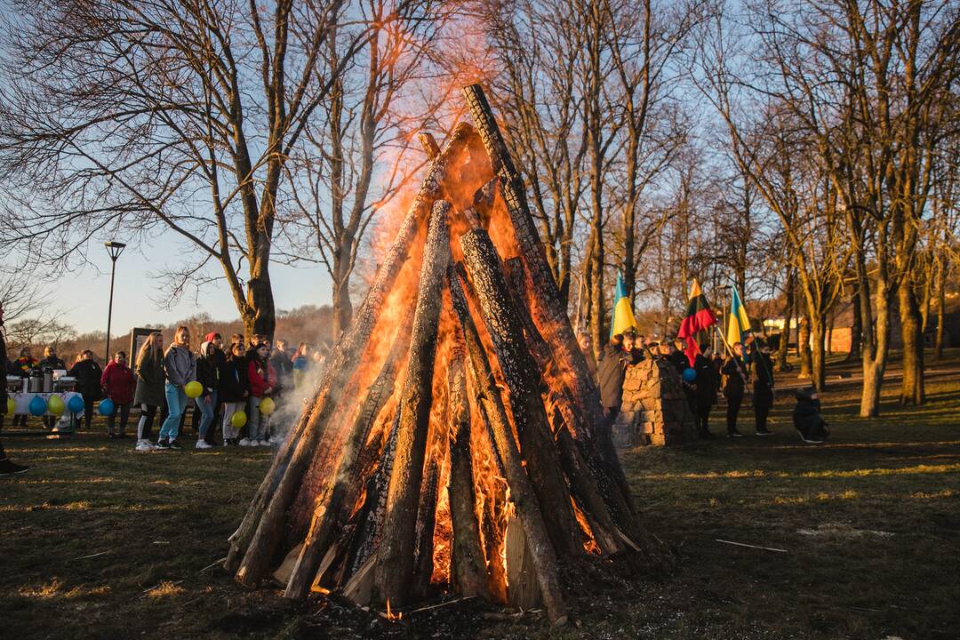 Vilkija su Ukraina