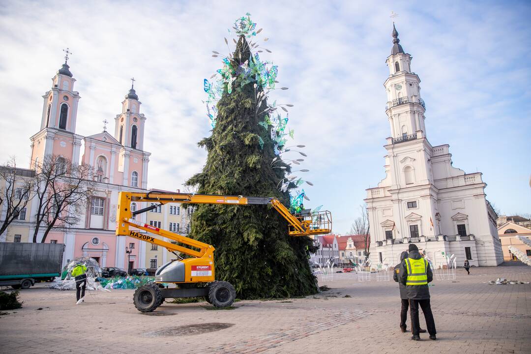 Nupuošiama Kauno kalėdinė eglė