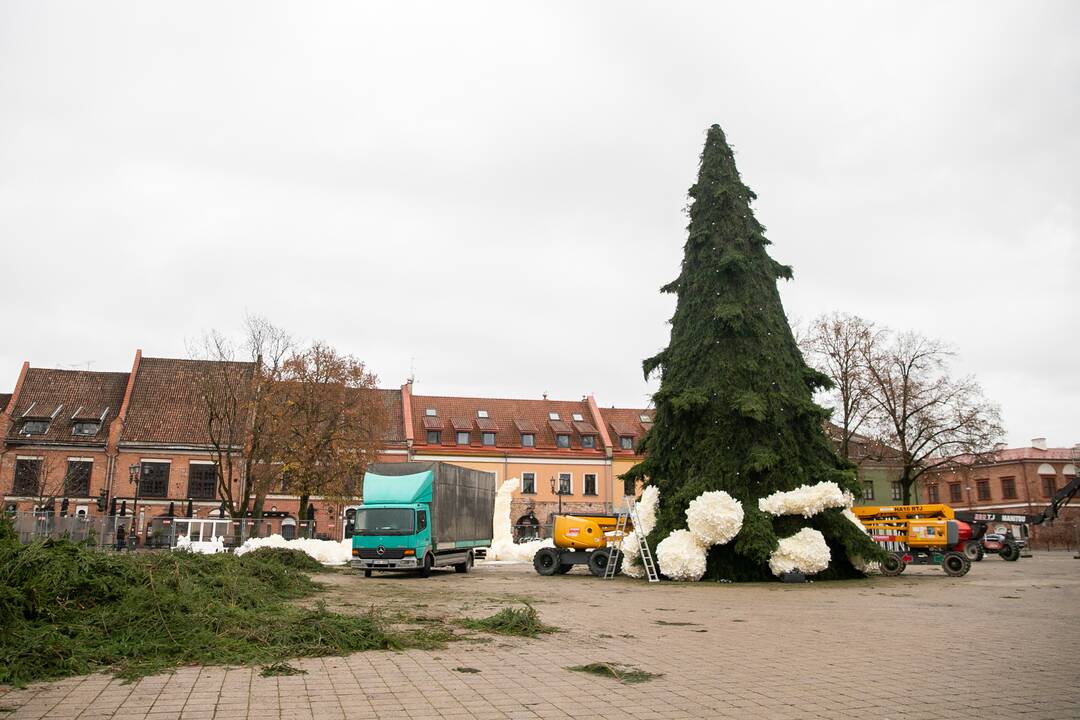 Rotušės aikštėje puošiama Kalėdų eglė