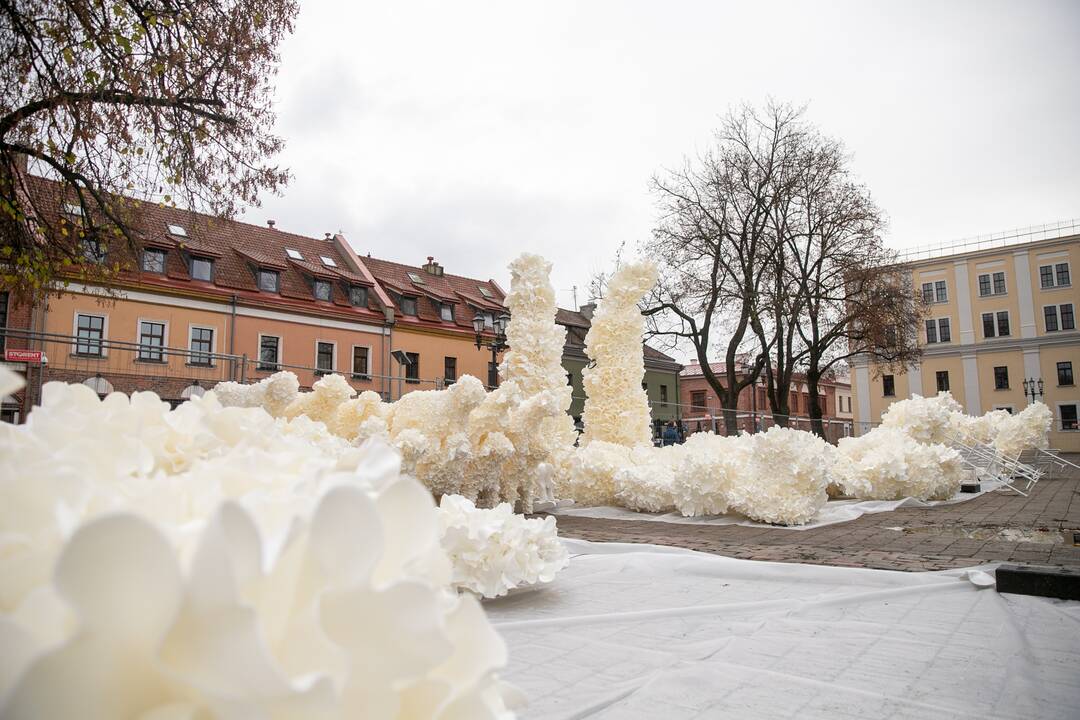 Rotušės aikštėje puošiama Kalėdų eglė