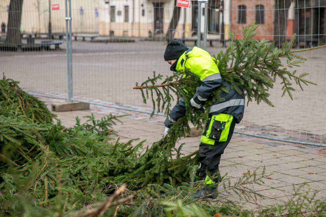 Rotušės aikštėje puošiama Kalėdų eglė