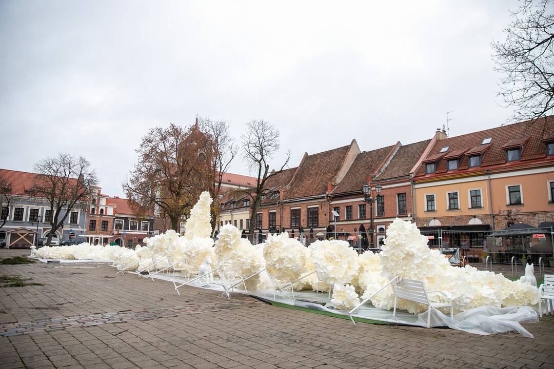 Rotušės aikštėje puošiama Kalėdų eglė
