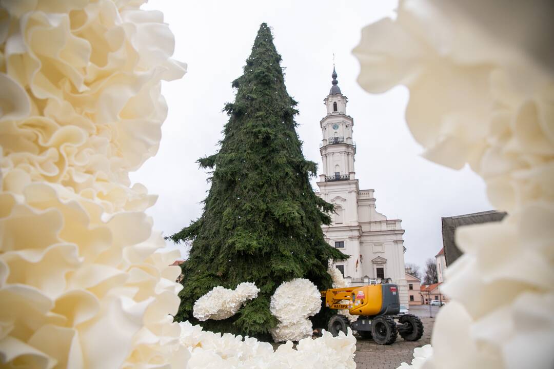 Rotušės aikštėje puošiama Kalėdų eglė