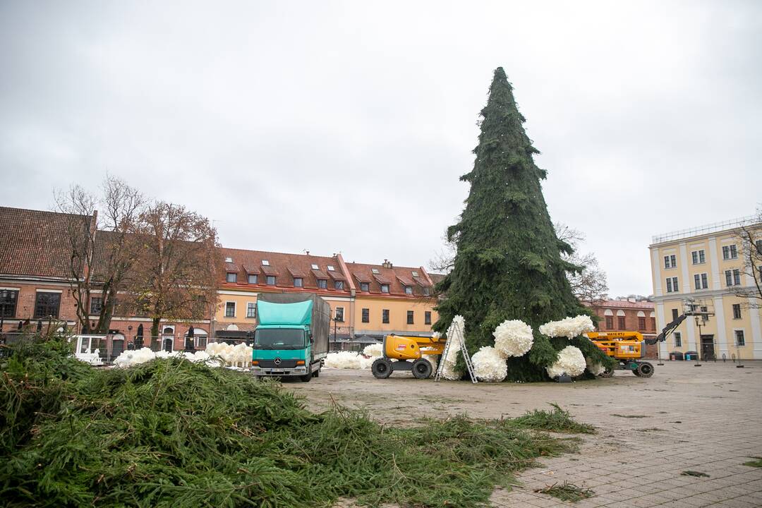 Rotušės aikštėje puošiama Kalėdų eglė