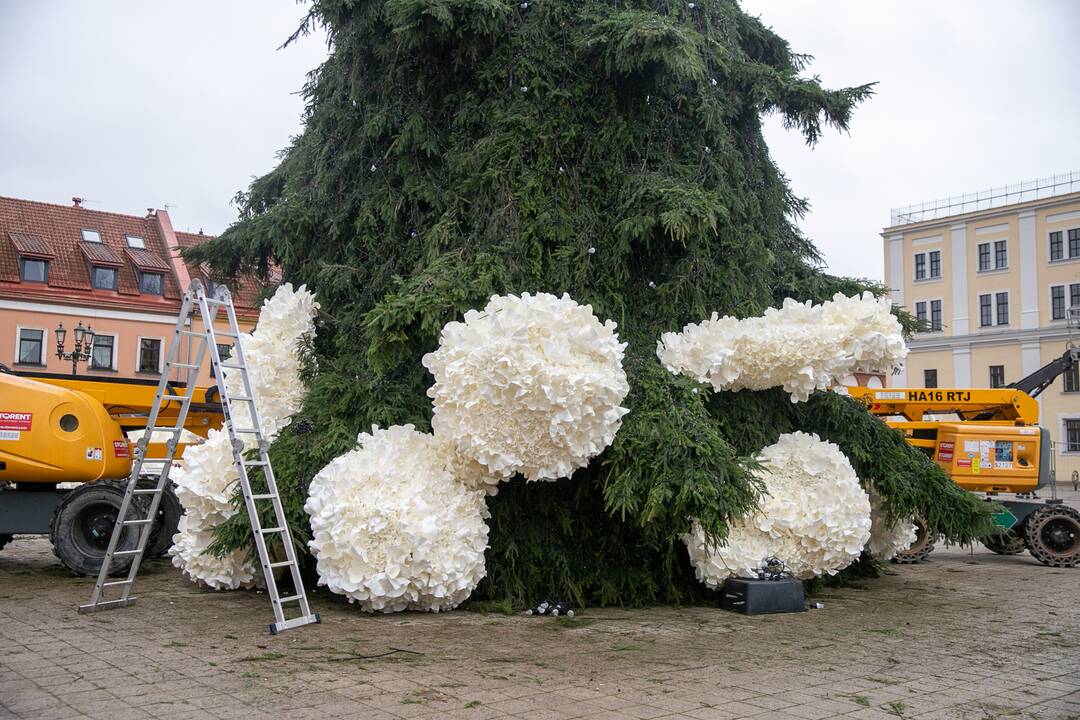 Rotušės aikštėje puošiama Kalėdų eglė