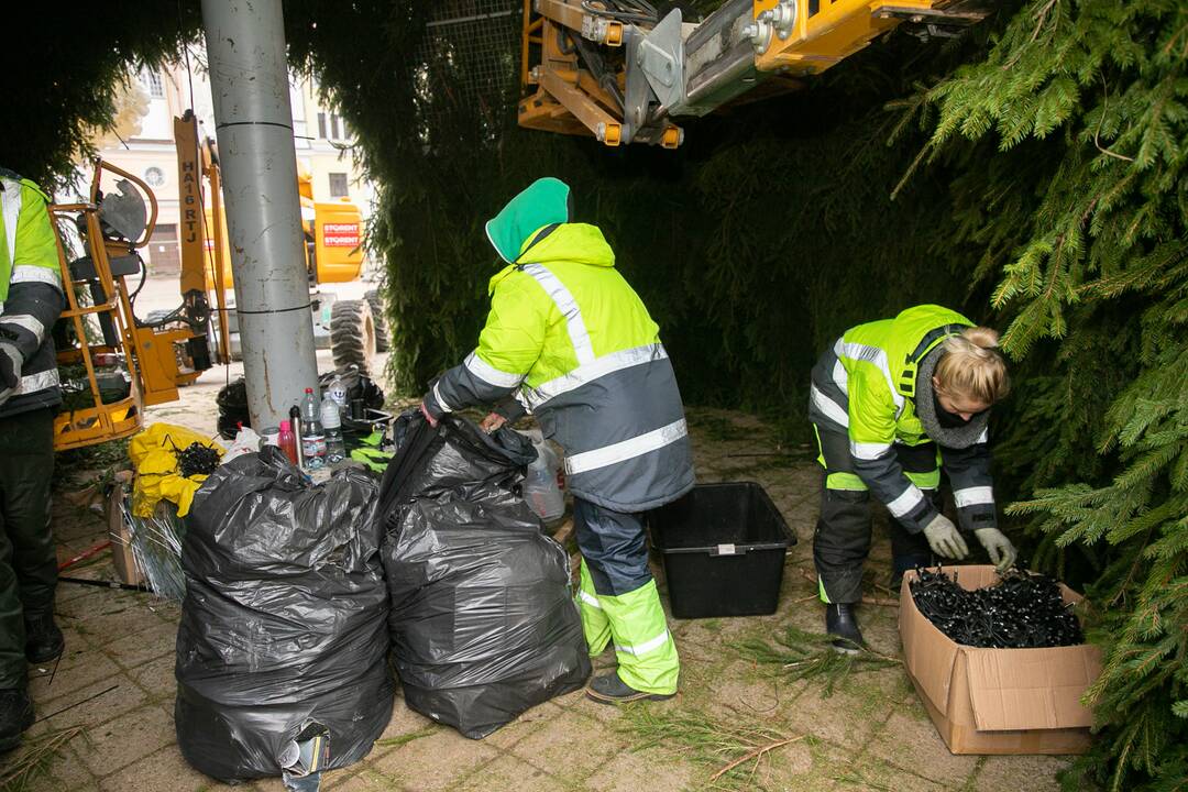 Rotušės aikštėje puošiama Kalėdų eglė