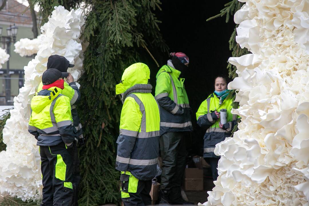 Kauno kalėdinės eglutės pristatymas