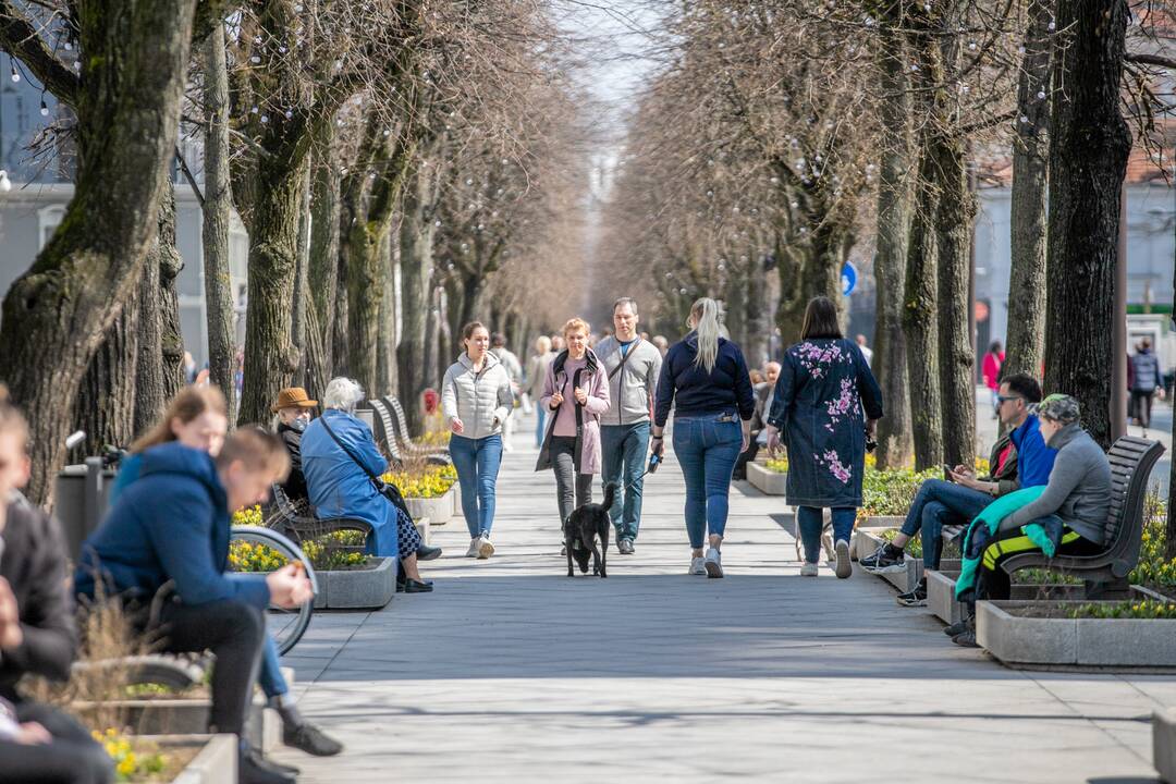 Kauniečiai džiaugėsi pavasarišku sekmadieniu
