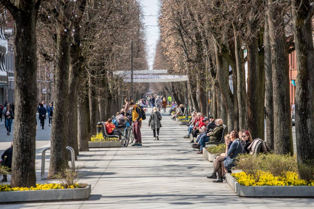 Kauniečiai džiaugėsi pavasarišku sekmadieniu
