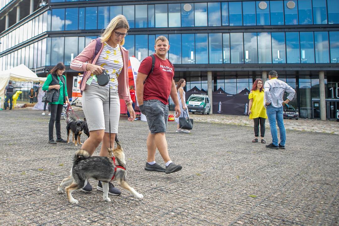 Policijos renginys „Keliaukime saugiai su augintiniais“