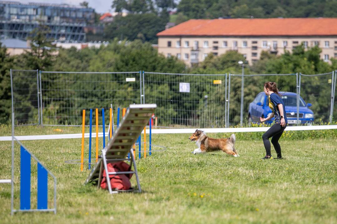 Policijos renginys „Keliaukime saugiai su augintiniais“