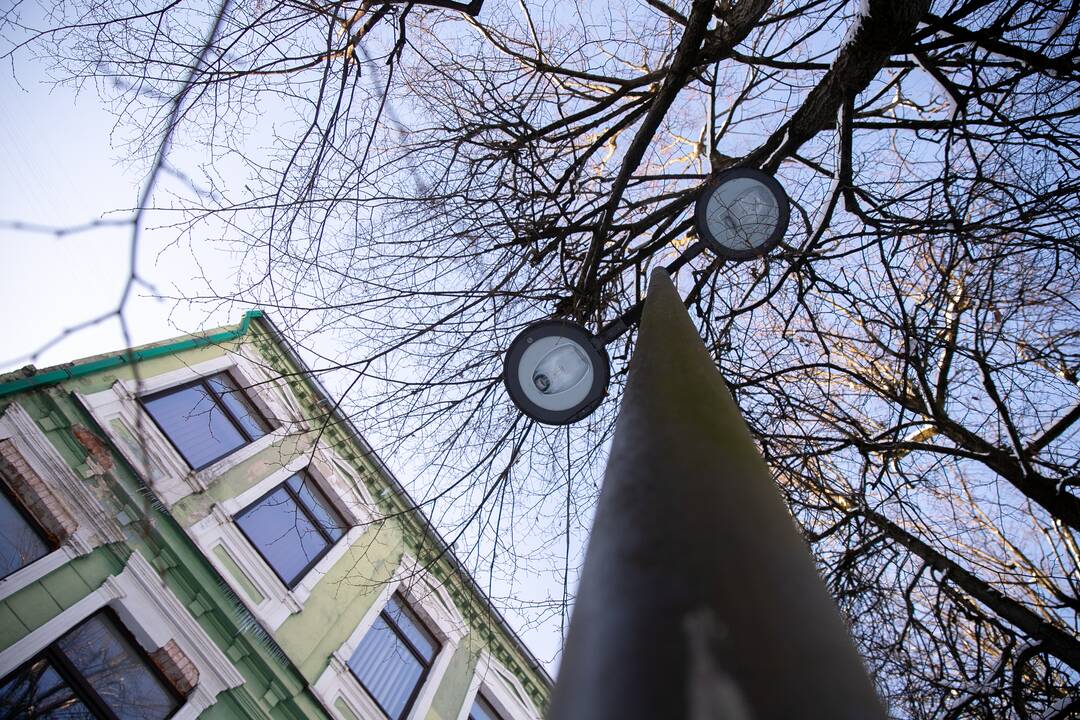 Besikeičianti Laisvės alėja