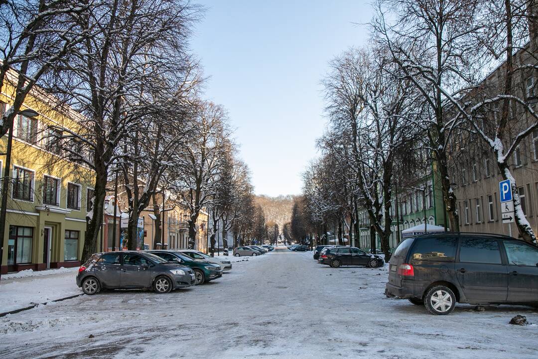 Besikeičianti Laisvės alėja