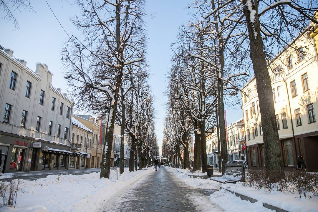 Besikeičianti Laisvės alėja