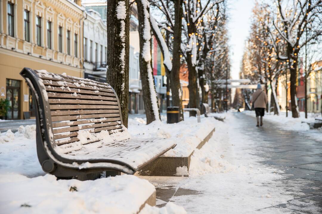 Besikeičianti Laisvės alėja