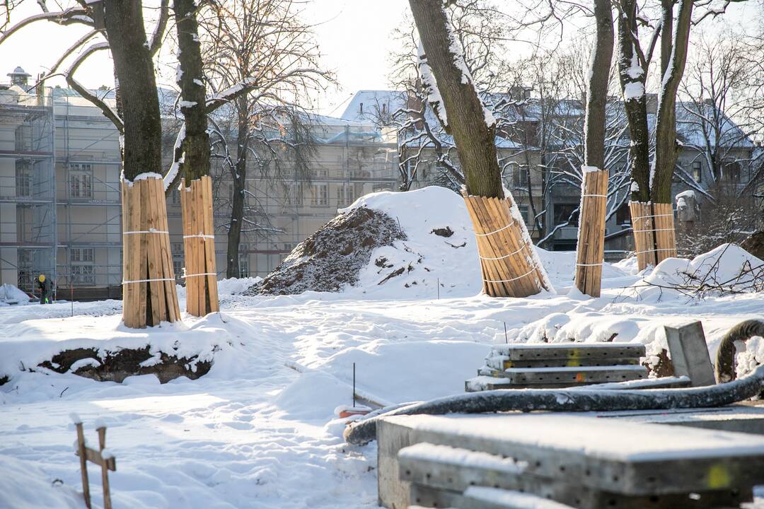 Besikeičianti Laisvės alėja