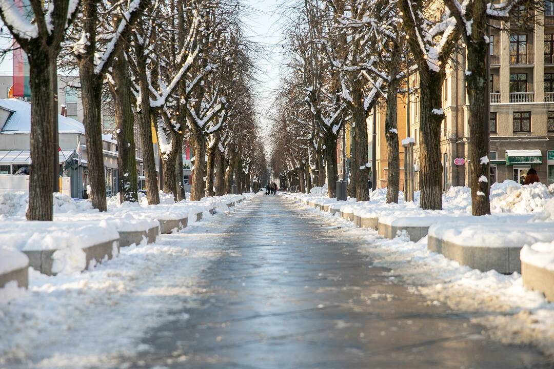 Besikeičianti Laisvės alėja