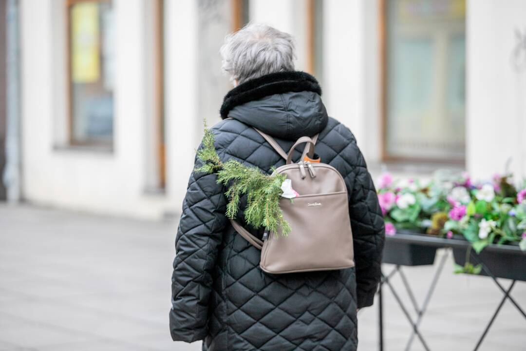 Verbų sekmadienis Kauno senamiestyje