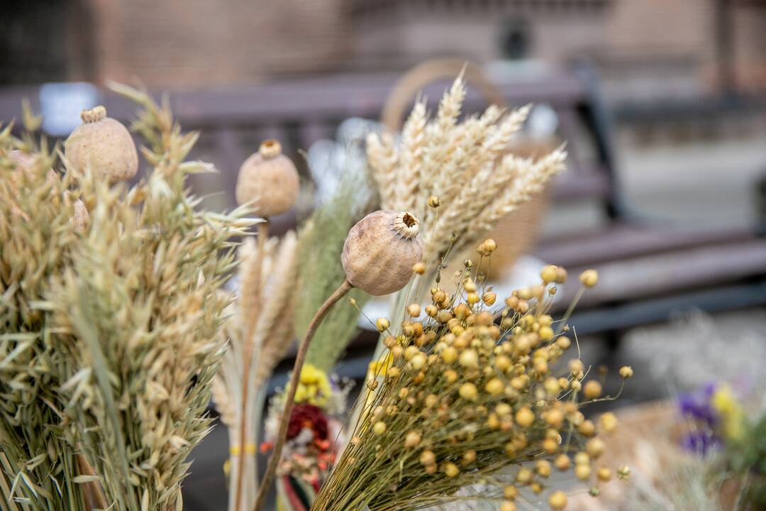Verbų sekmadienis Kauno senamiestyje