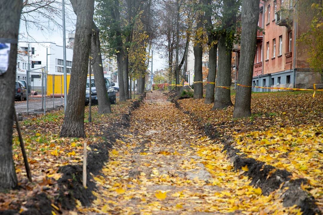 K. Petrausko gatvėje tvarkomas skveras