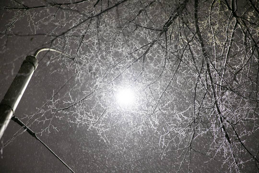 Kaune įsisiūbuoja stichinis snygis