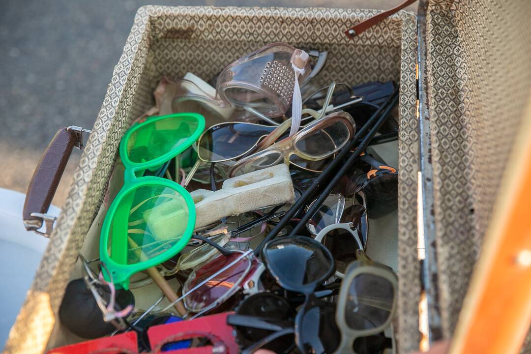 Pasiruošimas „Fluxus“ festivaliui ir kopimui į Parodos kalną