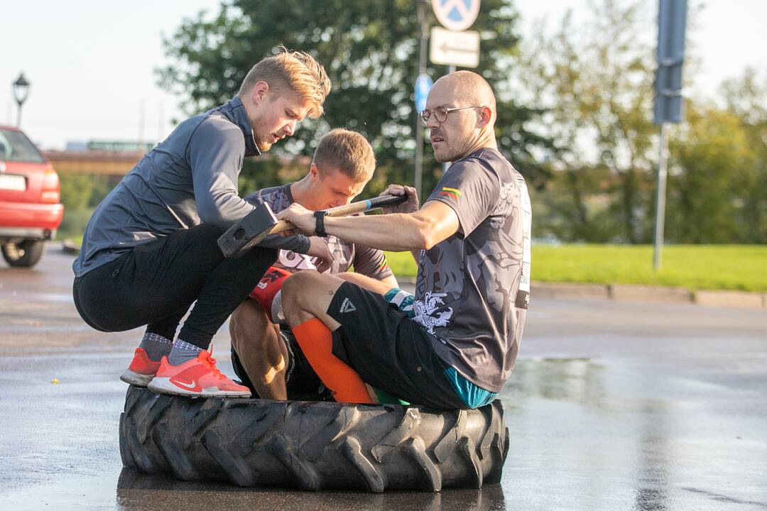 Pasiruošimas „Fluxus“ festivaliui ir kopimui į Parodos kalną
