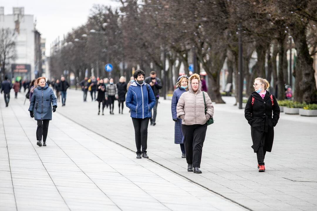 Kultūros dieną – „Ąžuolyno“ [atr]akcija