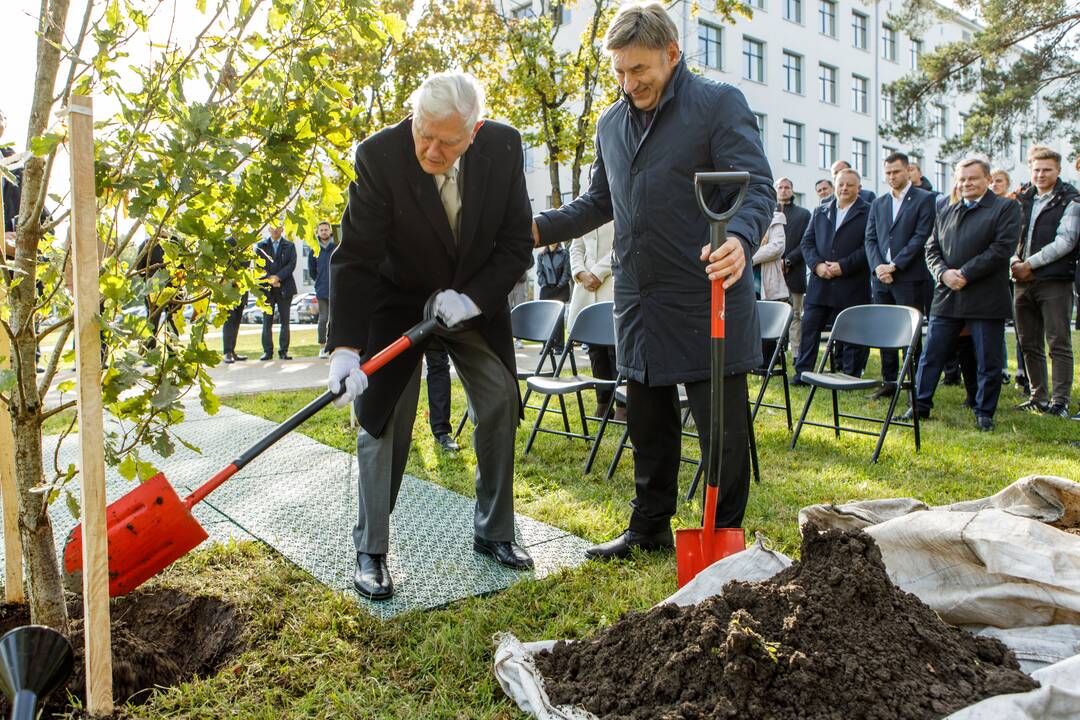 Prie Prezidento Valdo Adamkaus sporto centro šaknis įleido ąžuolai