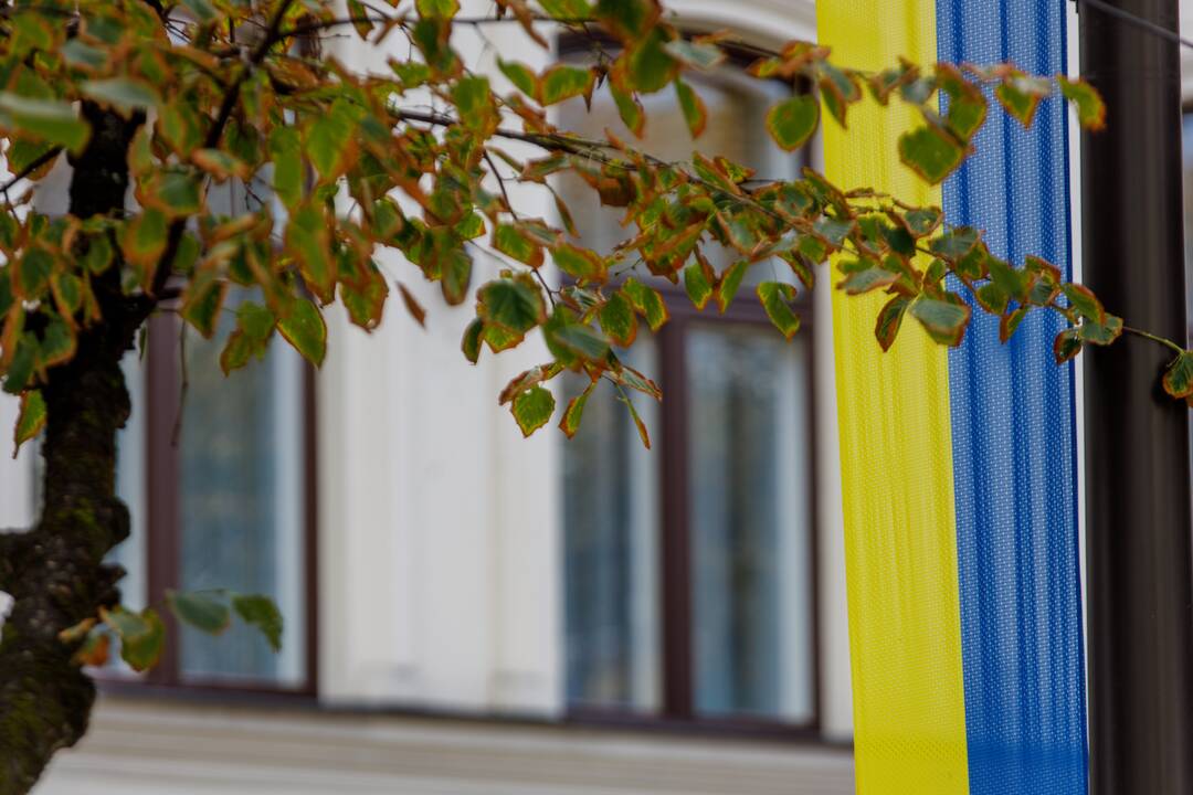 Laisvės alėjoje iškabintos Lietuvos ir Ukrainos vėliavos