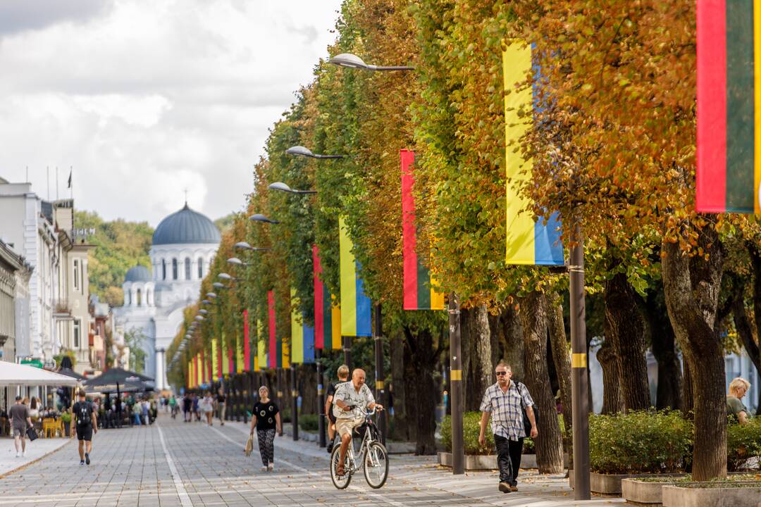 Laisvės alėjoje iškabintos Lietuvos ir Ukrainos vėliavos