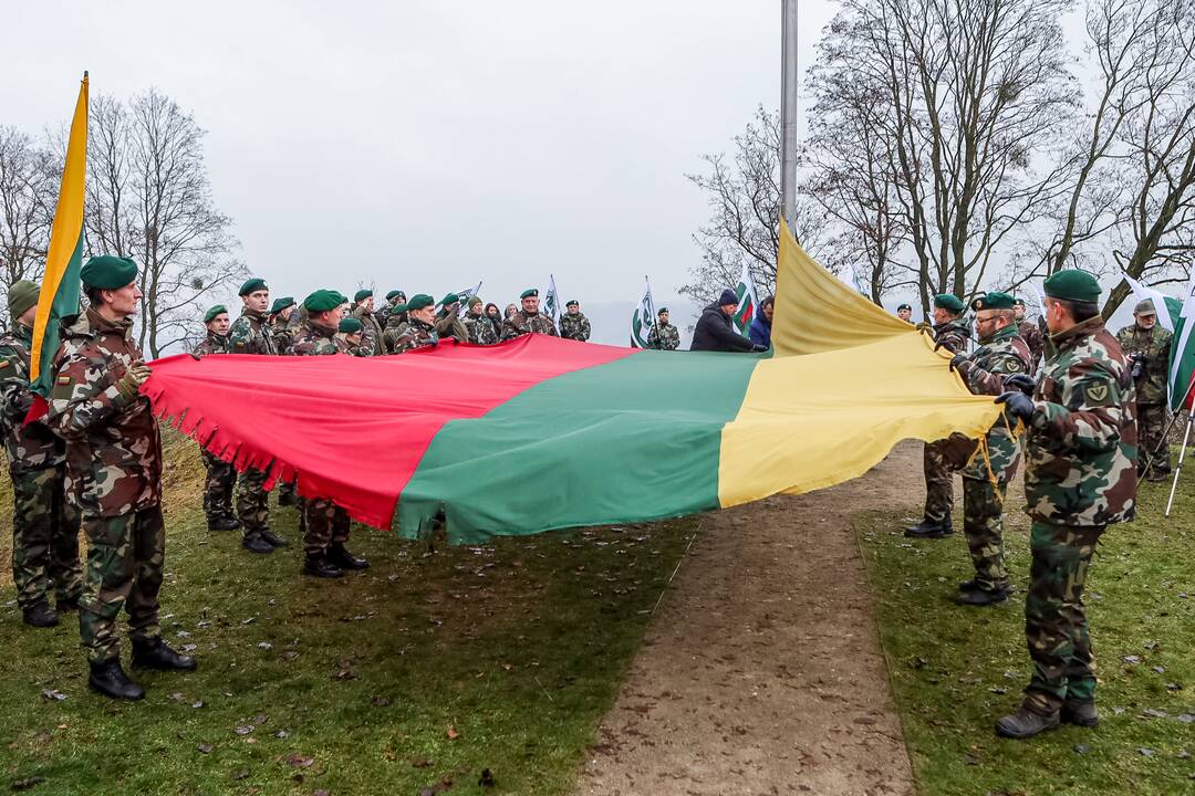 Lietuvos vėliavos dienos minėjimas