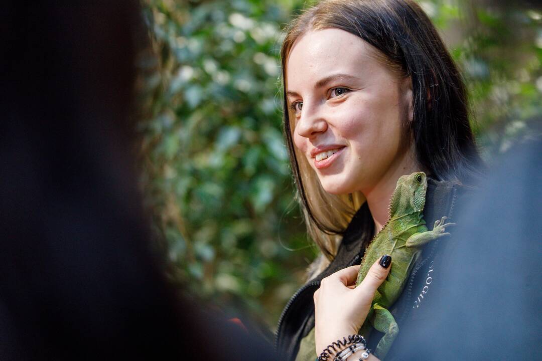 Vandens drakono pranašystė 2024-iems metams