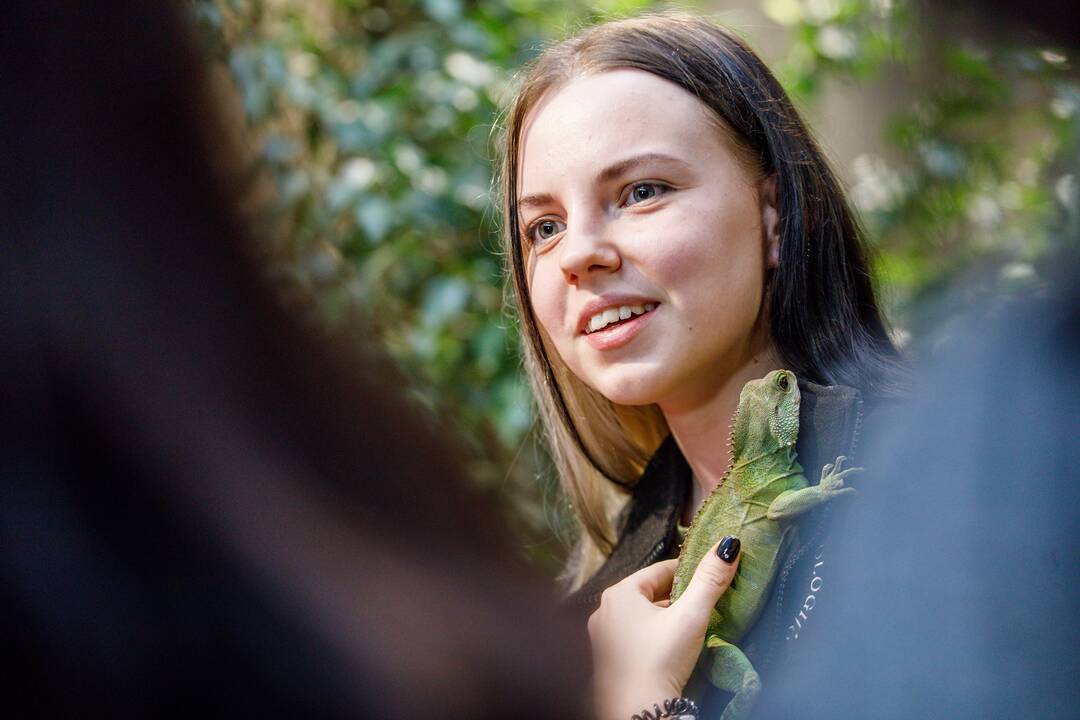 Vandens drakono pranašystė 2024-iems metams