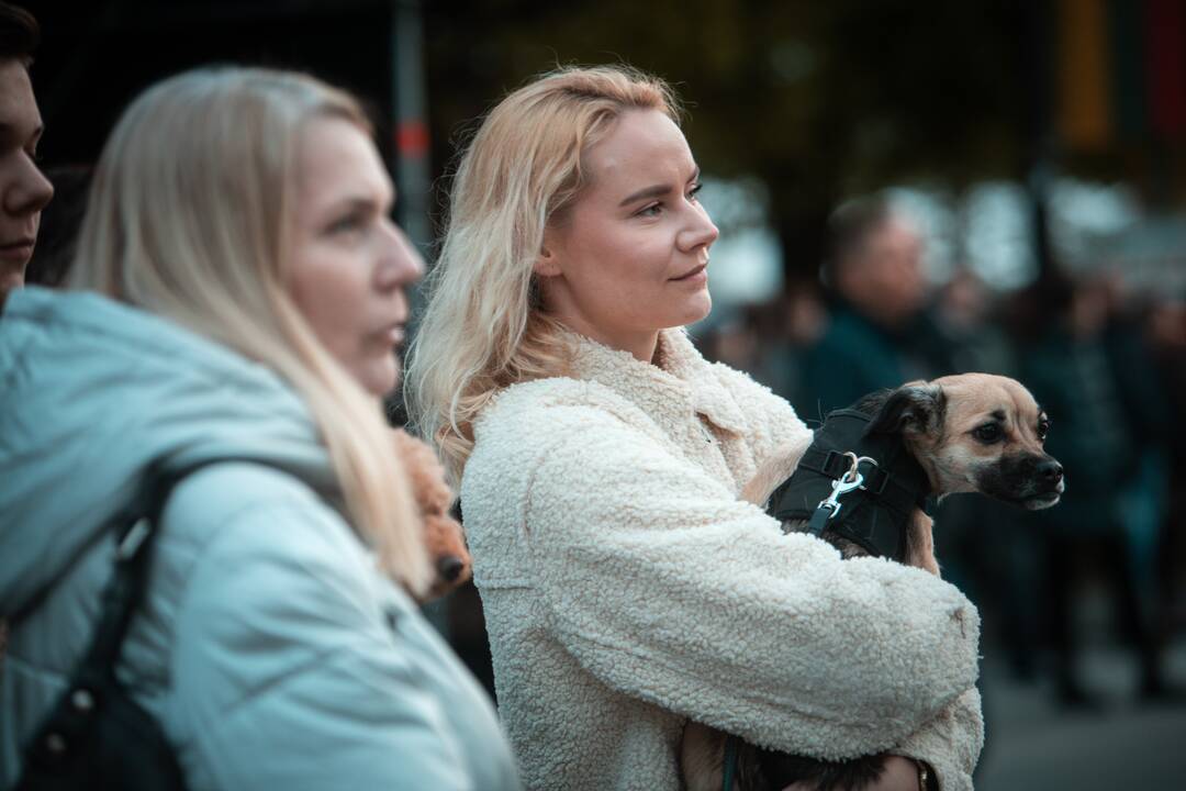 R. Kalantos 50 – mečiui skirta programa “Made in Kaunas”