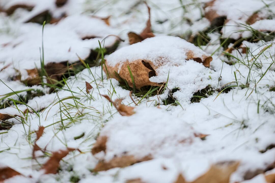 Kauną nuklojo balta sniego skraistė