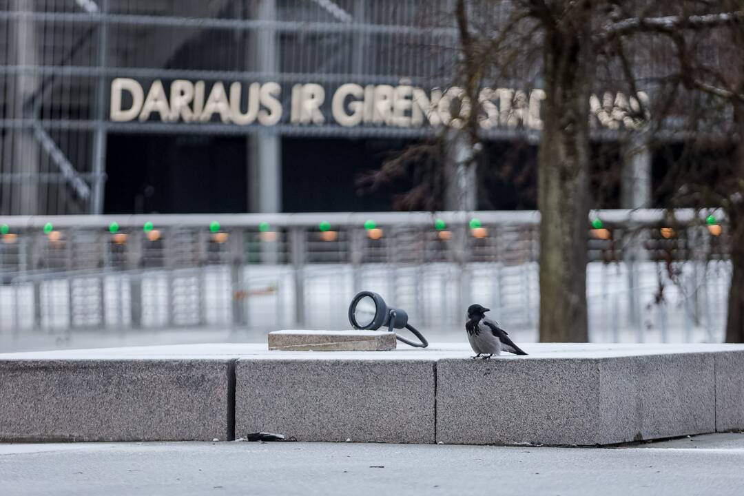 Kauną nuklojo balta sniego skraistė